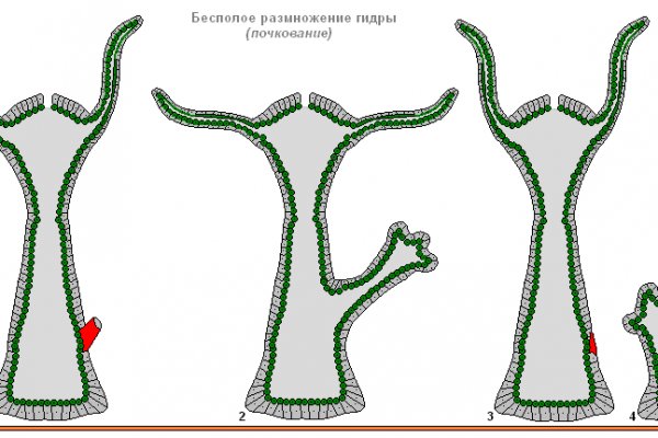 Оригинальный сайт кракен