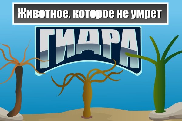 Kraken даркнет что это
