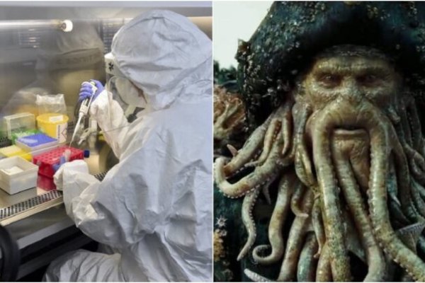 Как зайти на kraken маркетплейс