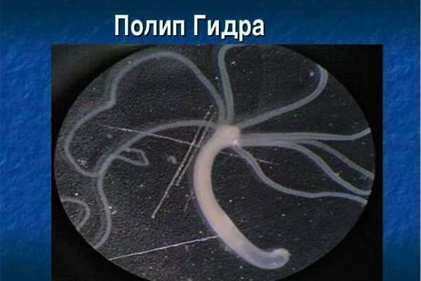 Даркнет кракен отзывы о платформе