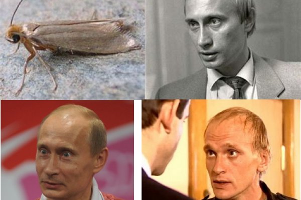 Кракен сайт kr2web in
