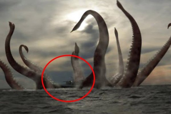 Кракен сайт магазин kraken clear com