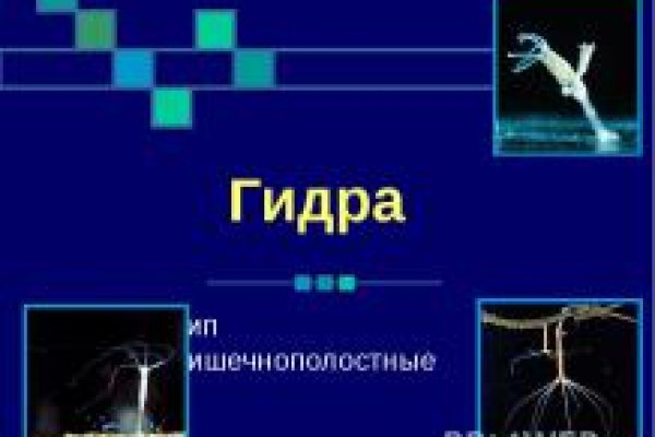 Кракен маркетплейс ссылка телеграмм