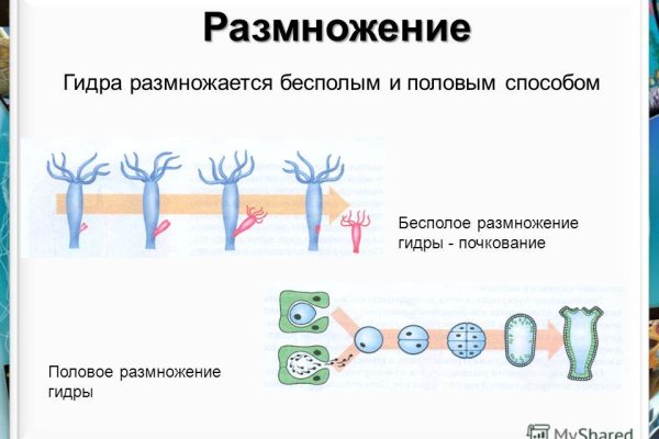 Darknet магазин