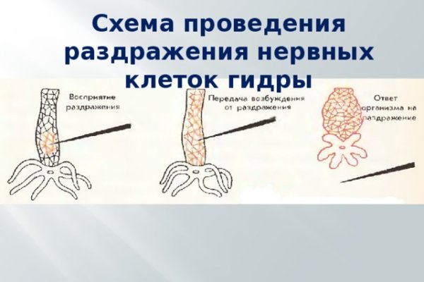 Войти даркнет