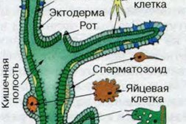 Как открыть ссылку с кракена