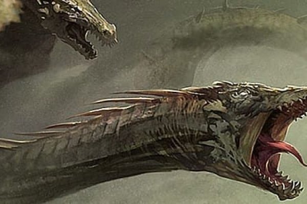 Kraken 25at