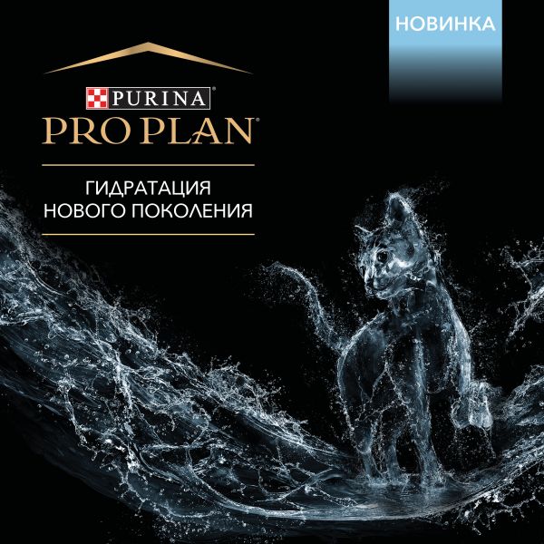 Кракен онион ссылки